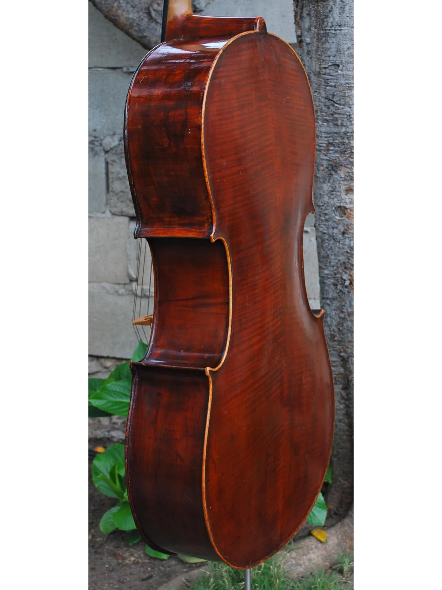 Dark Old Cello Unlabeled 4/4 Cello