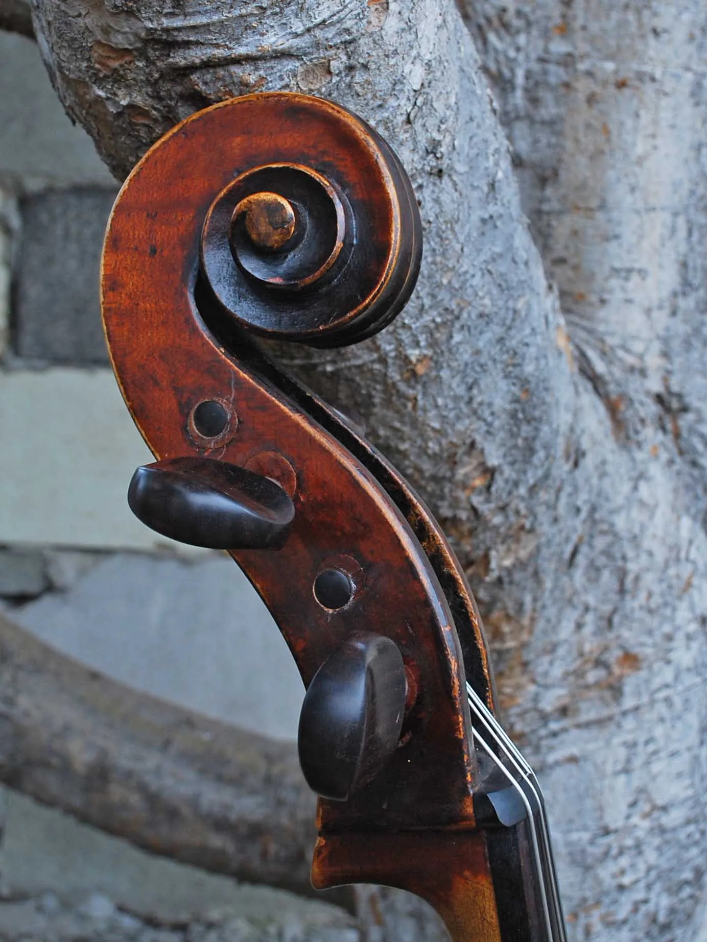 Dark Old Cello Unlabeled 4/4 Cello