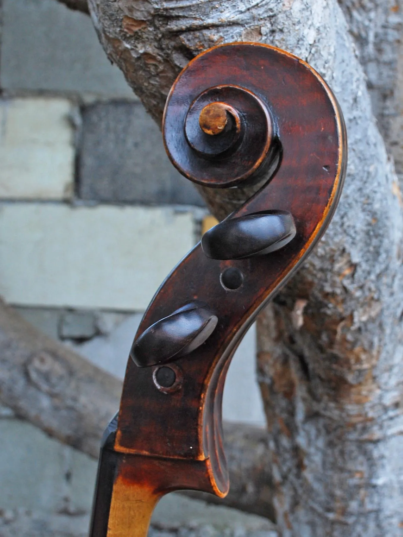 Dark Old Cello Unlabeled 4/4 Cello