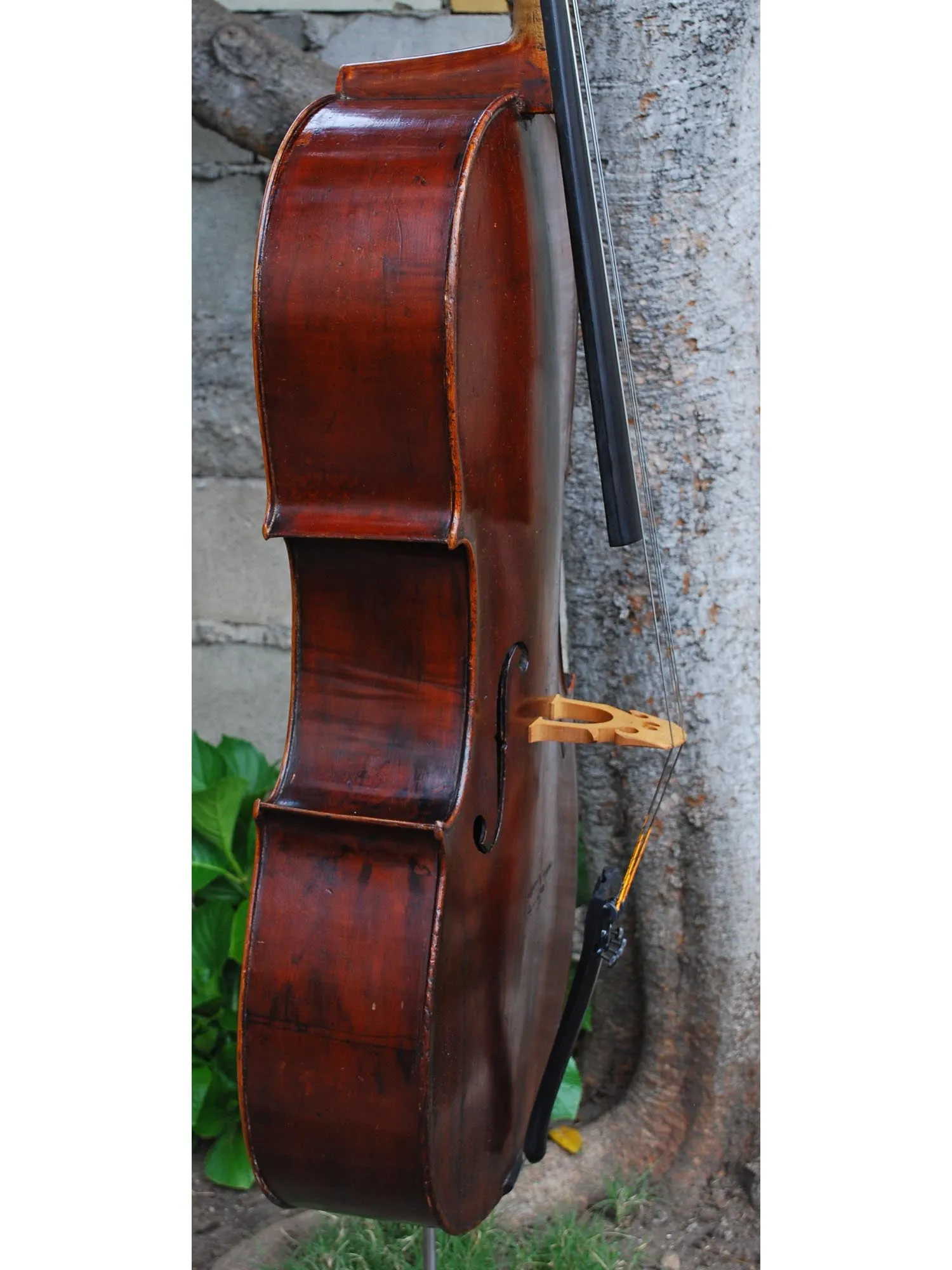 Dark Old Cello Unlabeled 4/4 Cello