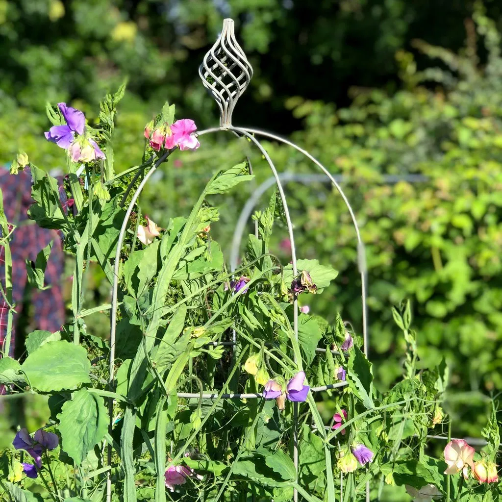 Elegance Obelisk