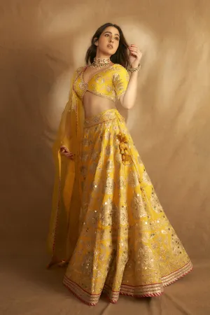 Golconda Anha Lehenga Set
