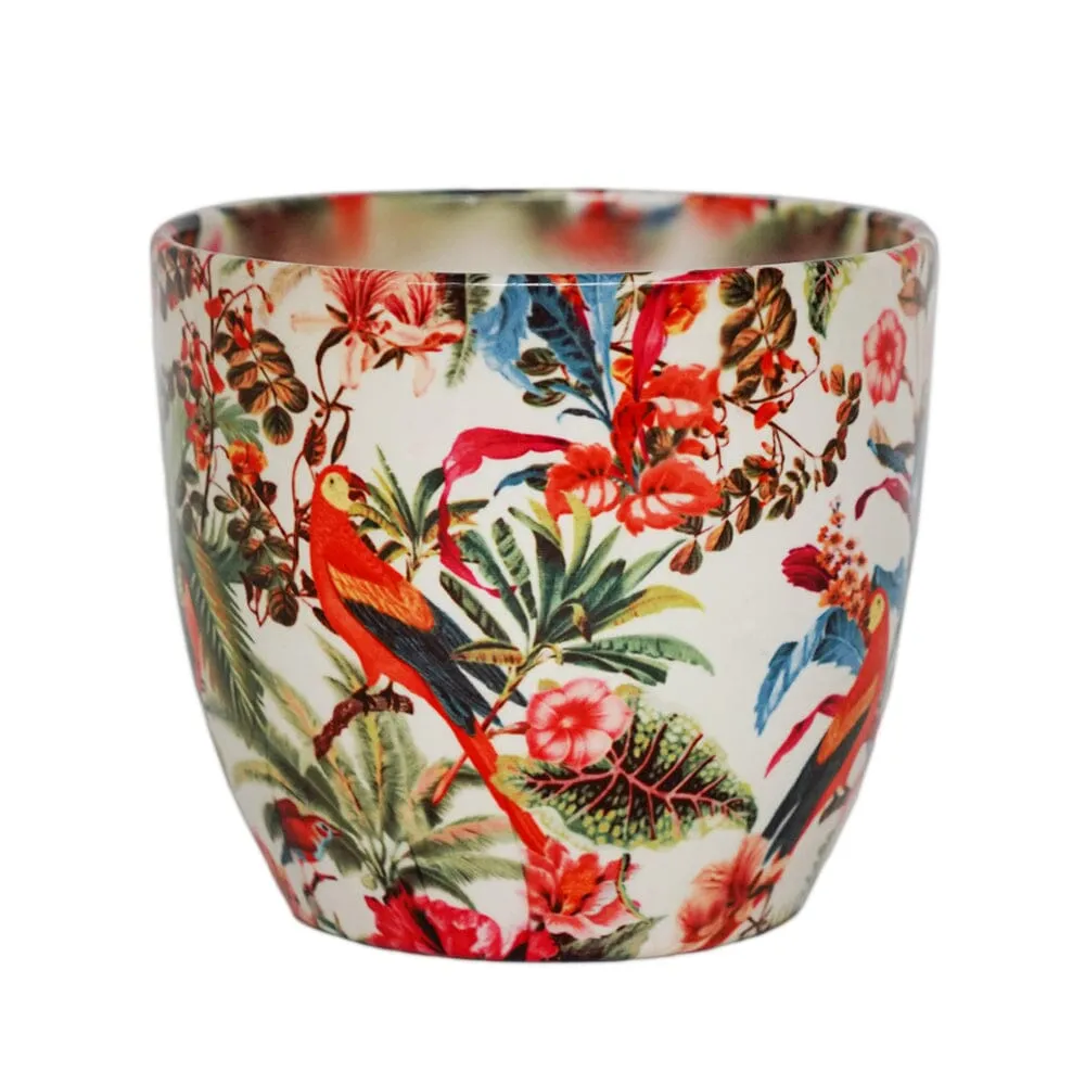 Monza Tropical Parrot Indoor Ceramic 15.5cm Pot