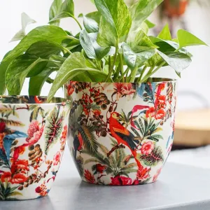 Monza Tropical Parrot Indoor Ceramic 15.5cm Pot