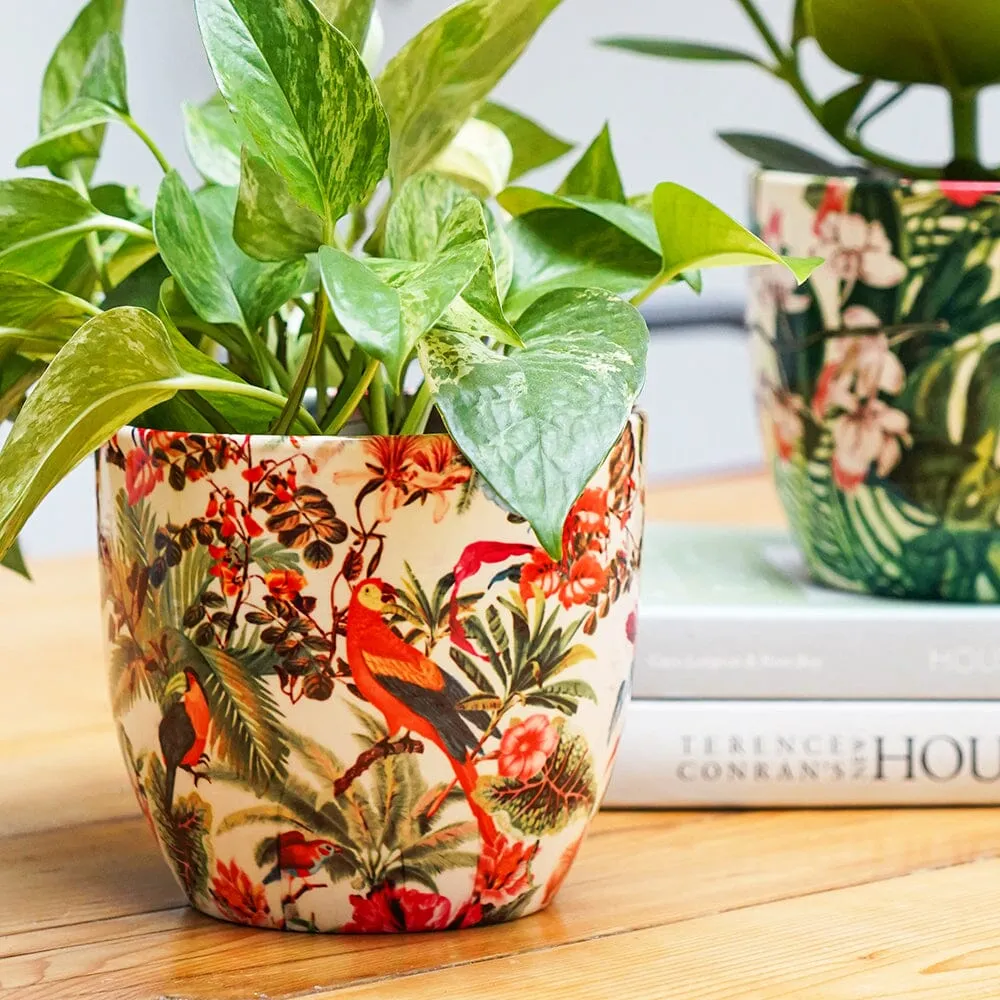 Monza Tropical Parrot Indoor Ceramic 15.5cm Pot