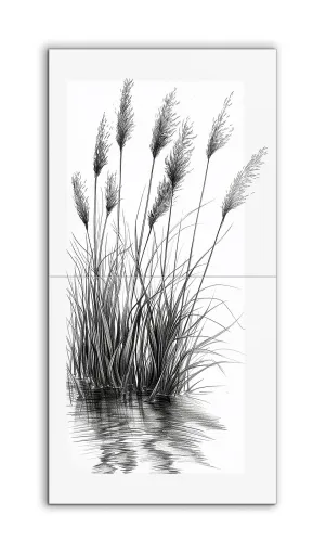 Serene Reeds by Tranquil Waters